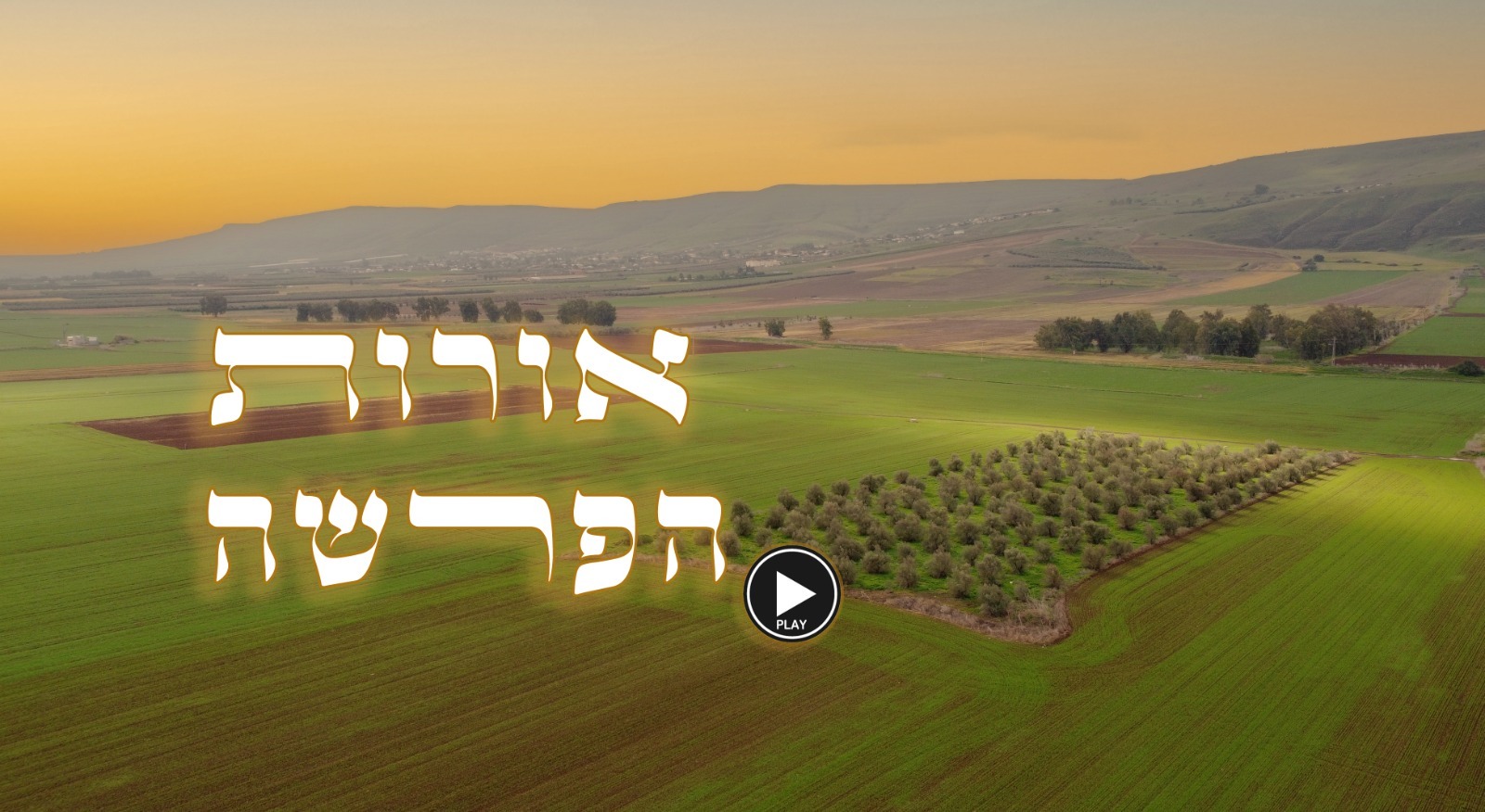 אורות הפרשה