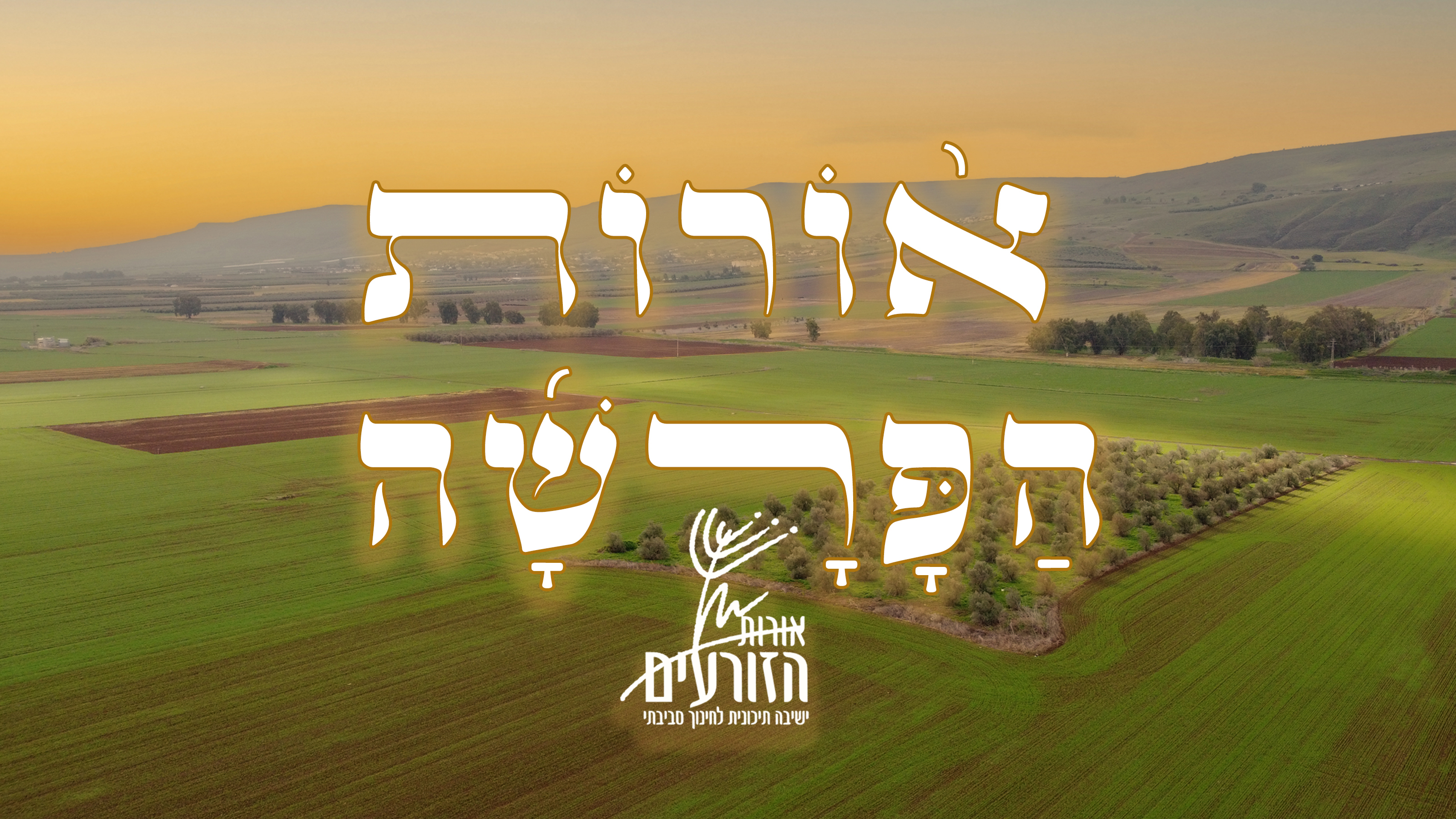 אורות הפרשה